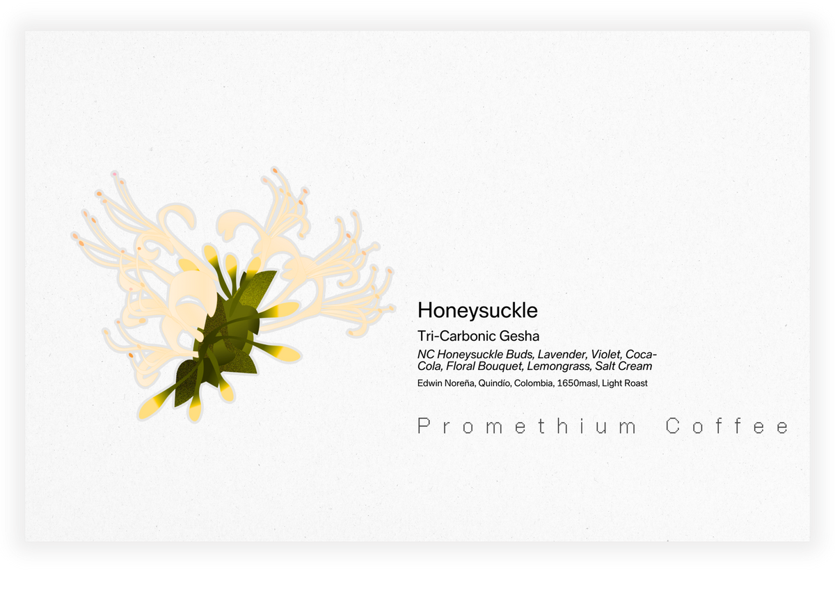 Honeysuckle Members-Only Gesha